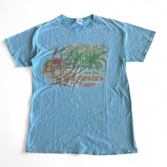 Gildan Other - Gildan Light Blue Graphic Tee